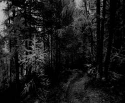 Frostfall : The Shadow of the Defunct Frostfall : The Shadow of the Defunct